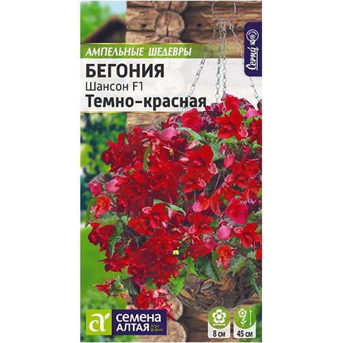 Бегония Шансон темно-красная F1 Семена Алтая изображение 1 артикул 78301