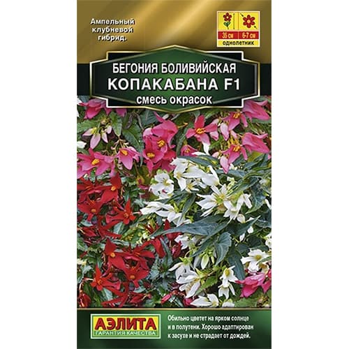 Бегония боливийская Копакабана F1, смесь окрасок Аэлита изображение 1 артикул 40303