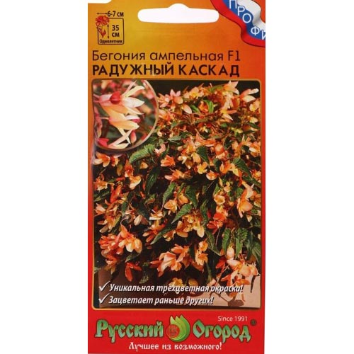Бегония боливийская Радужный каскад F1 НК изображение 1 артикул 92467
