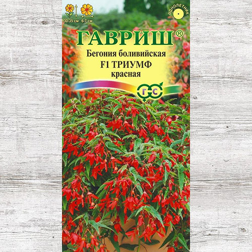 Бегония боливийская Триумф красная F1 Гавриш изображение 1 артикул 73727