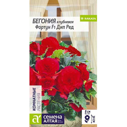 Бегония Фортун Дип Ред F1 Семена Алтая изображение 1 артикул 81629