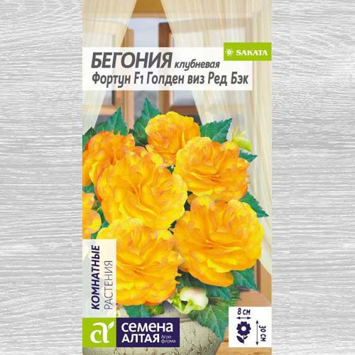 Бегония Фортун Голден виз Ред Бэк F1 изображение 1 артикул 78280