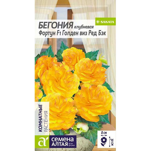 Бегония Фортун Голден виз Ред Бэк Семена Алтая изображение 1 артикул 94142