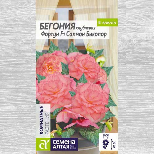 Бегония Фортун Салмон Биколор F1 изображение 1 артикул 78282