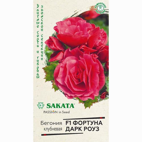 Бегония клубневая Фортуна Дарк Роуз F1 Гавриш изображение 1 артикул 84003