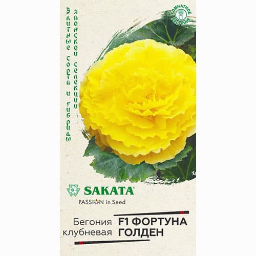 Бегония клубневая Фортуна Голден F1 Гавриш изображение 1 артикул 84002