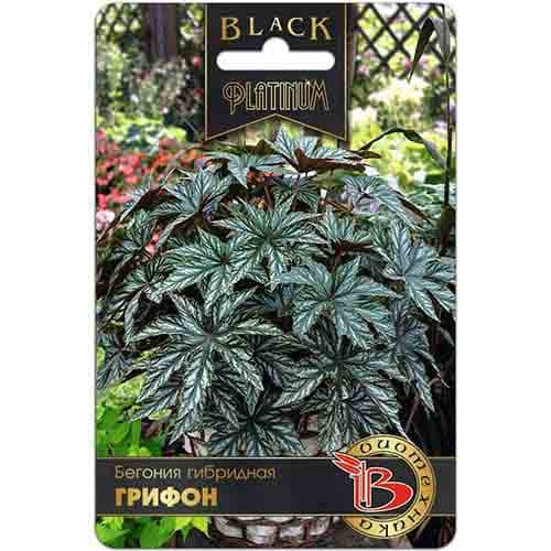 Бегония гибридная Грифон Биотехника изображение 1 артикул 97328