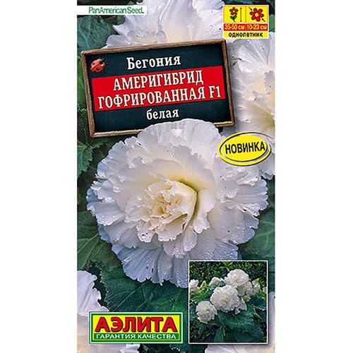 Бегония гофрированная Америгибрид белая F1 Аэлита артикул фото 1 Бегония гофрированная Америгибрид белая F1 Аэлита изображение 1 артикул 98879