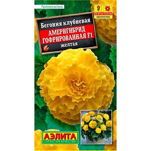 Бегония гофрированная Америгибрид желтая F1 Аэлита изображение 1 артикул 98880