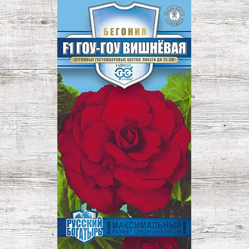 Бегония Гоу-гоу Вишневая F1 Гавриш изображение 1 артикул 82331