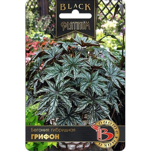 Бегония Грифон Биотехника изображение 1 артикул 91572