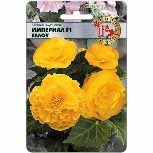 Бегония клубневая Империал Еллоу F1 Биотехника изображение 1 артикул 74812