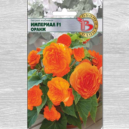 Бегония Империал Оранж F1 артикул фото 1 Бегония Империал Оранж F1 изображение 1 артикул 74814