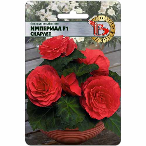Бегония Империал Скарлет F1 Биотехника изображение 1 артикул 74813