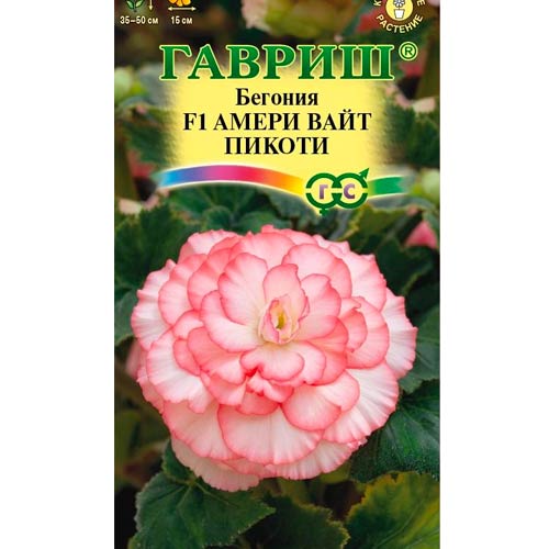 Бегония клубневая Амери Вайт Пикоти F1 Гавриш изображение 1 артикул 87916