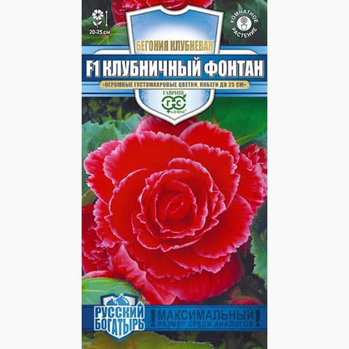 Бегония клубневая Клубничный фонтан Гавриш изображение 1 артикул 97620