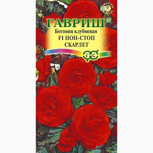 Бегония клубневая Нон-стоп Скарлет F1 Гавриш артикул фото 1 Бегония клубневая Нон-стоп Скарлет F1 Гавриш изображение 1 артикул 97622