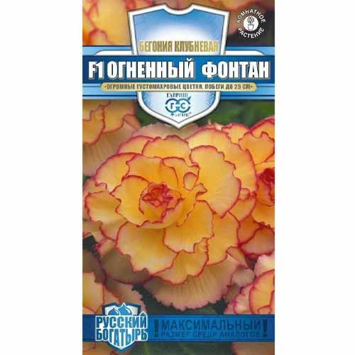 Бегония клубневая Огненный фонтан F1 Гавриш изображение 1 артикул 40584