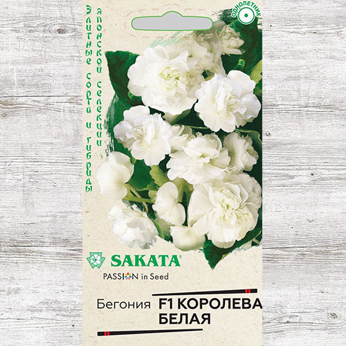 Бегония Королева белая F1 Гавриш изображение 1 артикул 74947