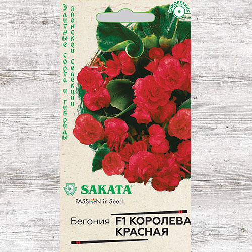 Бегония Королева красная F1 Гавриш изображение 1 артикул 74948