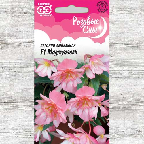Бегония Мадемуазель F1 артикул фото 1 Бегония Мадемуазель F1 изображение 1 артикул 84000