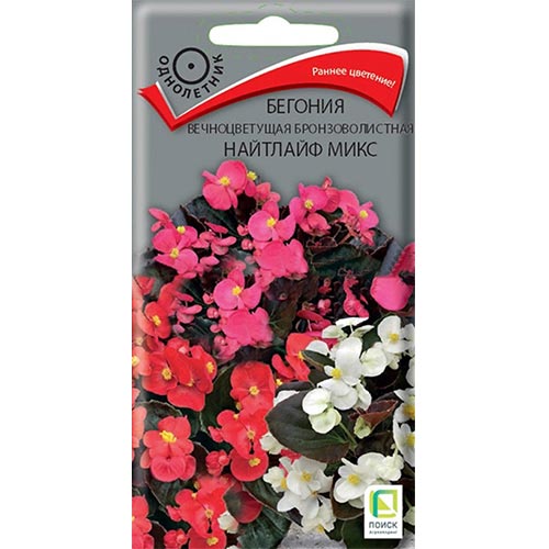 Бегония Найтлайф, смесь окрасок Поиск изображение 1 артикул 92912