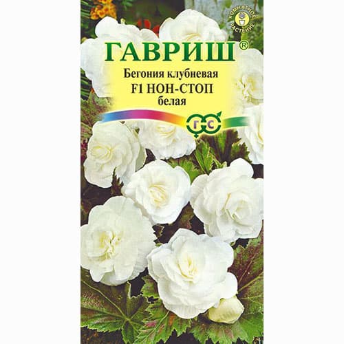 Бегония клубневая Нон-стоп белая F1 Гавриш изображение 1 артикул 71137