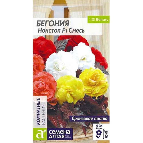Бегония Нон-стоп Мокка Семена Алтая изображение 1 артикул 94139