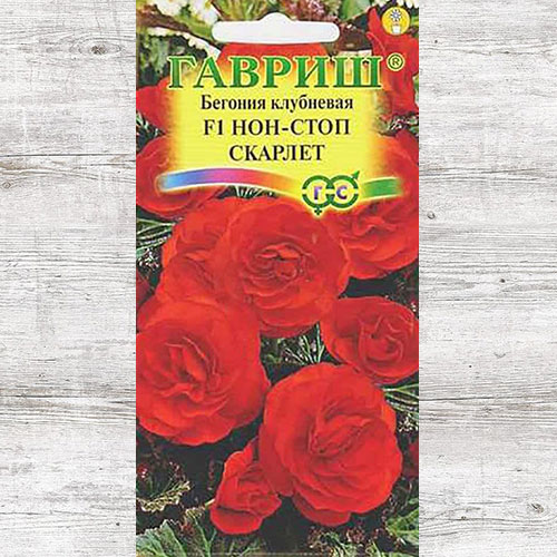 Бегония Нон-стоп Скарлет F1 Гавриш изображение 1 артикул 71139