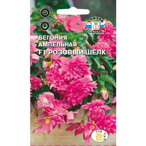 Бегония Розовый шелк F1 Седек изображение 1 артикул 93677