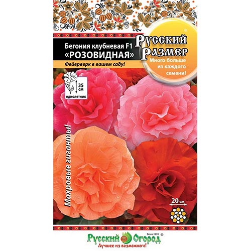 Бегония Русский Размер Розовидная F1, смесь окрасок НК изображение 1 артикул 92469