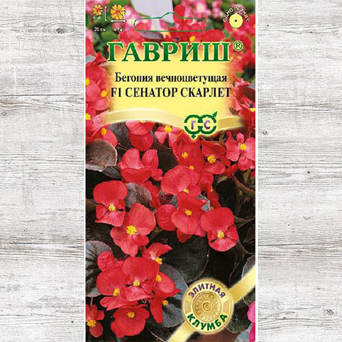 Бегония Сенатор Скарлет F1 Гавриш изображение 1 артикул 71134