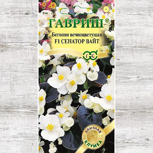 Бегония Сенатор Вайт F Гавриш изображение 1 артикул 71133