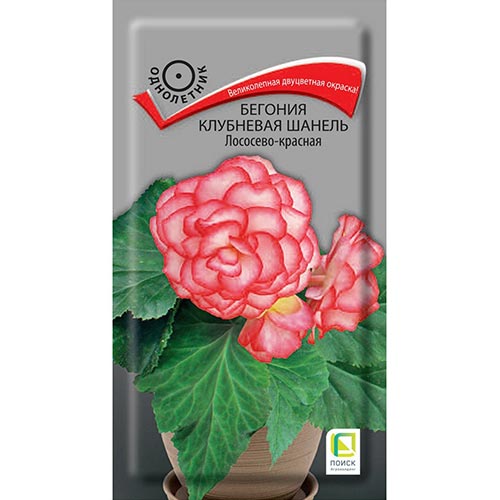 Бегония Шанель Лососево-красная Поиск изображение 1 артикул 92916