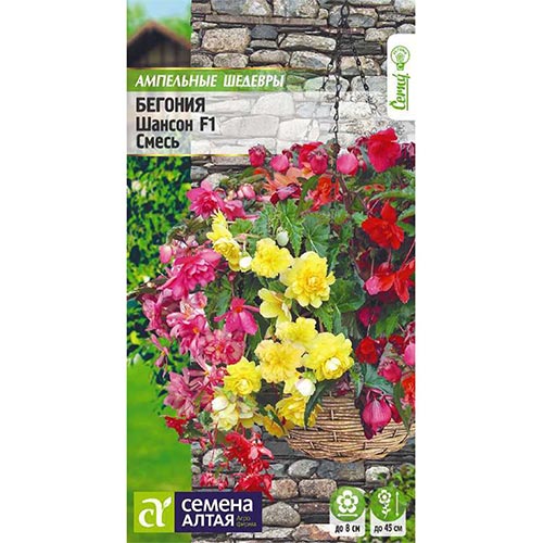 Бегония Шансон, смесь окрасок Семена Алтая изображение 1 артикул 94143