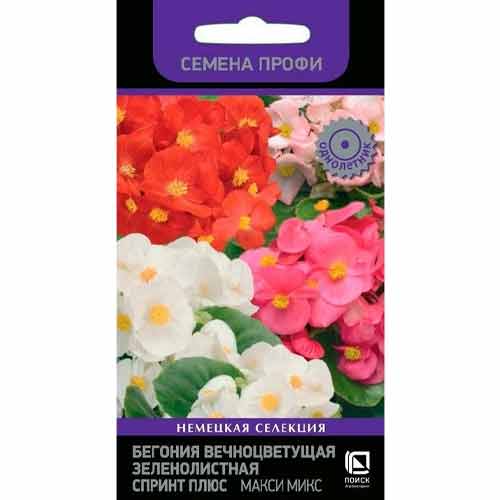 Бегония Спринт Плюс Макси, смесь окрасок Поиск изображение 1 артикул 82085