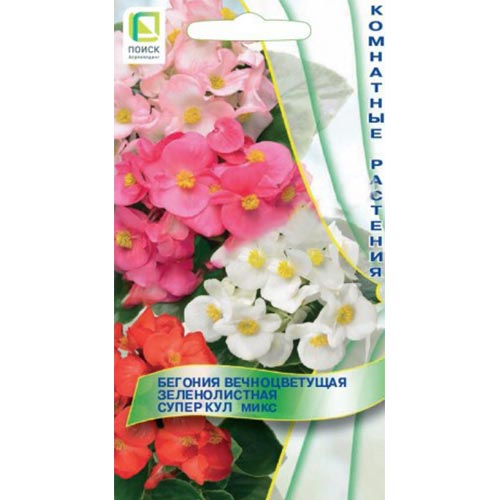 Бегония Супер Кул, смесь окрасок Поиск изображение 1 артикул 92913