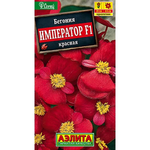 Бегония вечноцветущая Император красная F1 Аэлита изображение 1 артикул 98884