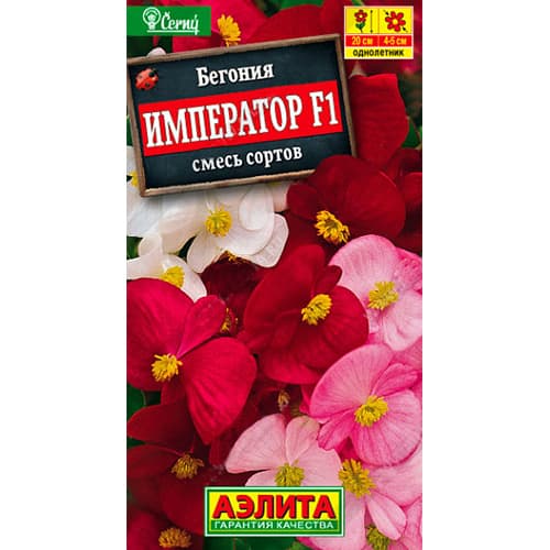 Бегония вечноцветущая Император, смесь окрасок Аэлита изображение 1 артикул 98886
