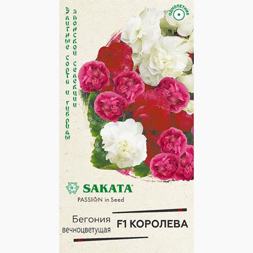 Бегония вечноцветущая Королева F1, смесь окрасок Гавриш изображение 1 артикул 97621