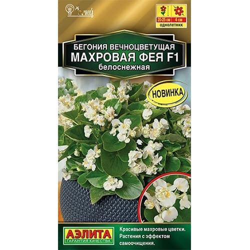 Бегония вечноцветущая махровая Фея белоснежная F1 Аэлита изображение 1 артикул 40304
