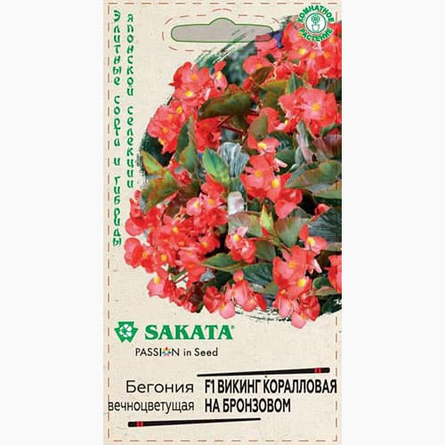 Бегония Викинг коралловая на бронзовом F1 Гавриш артикул фото 1 Бегония Викинг коралловая на бронзовом F1 Гавриш изображение 1 артикул 97616