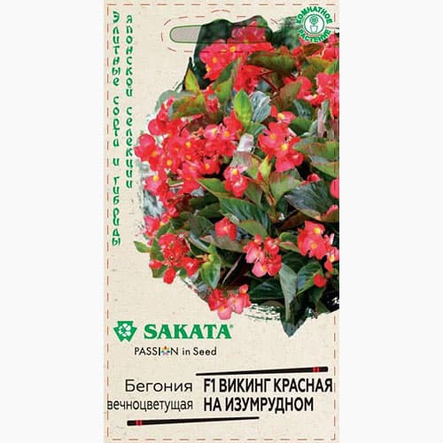 Бегония Викинг красная на изумрудном F1 Гавриш изображение 1 артикул 97618