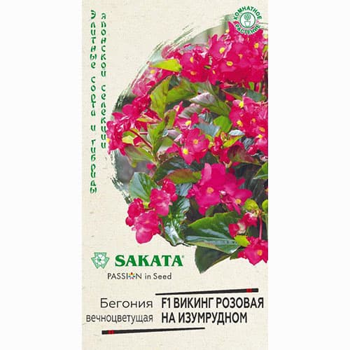 Бегония Викинг розовая на изумрудном F1 Гавриш изображение 1 артикул 83998