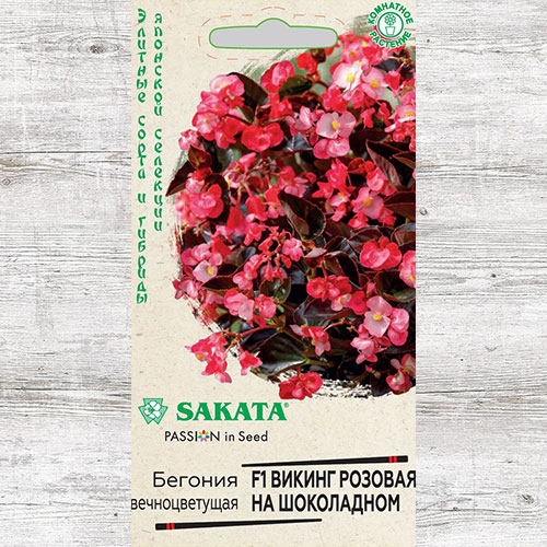 Бегония Викинг розовая на шоколадном F1 Гавриш изображение 1 артикул 83999