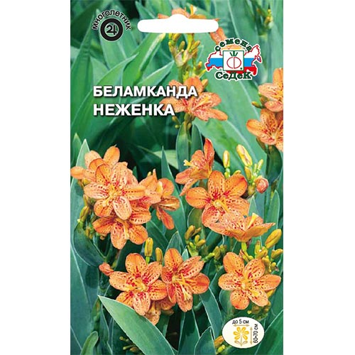 Беламканда китайская Неженка Седек изображение 1 артикул 93679