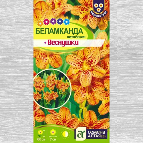 Беламканда китайская Веснушки изображение 1 артикул 78207