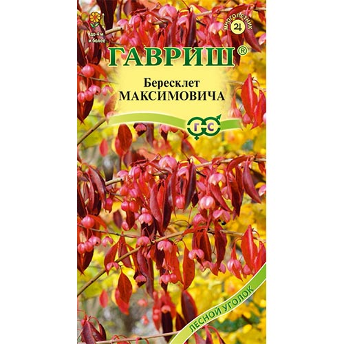 Бересклет Максимовича Гавриш изображение 1 артикул 91975