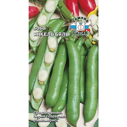 Бобы Янкель Бялы Седек изображение 1 артикул 93292