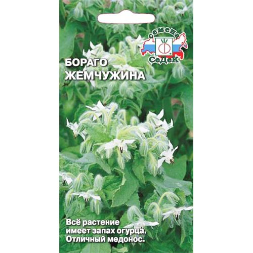 Бораго (огуречная трава) Жемчужина Седек изображение 1 артикул 93293